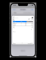 Invoice Maker App - SwiftUI Full iOS Application Screenshot 3