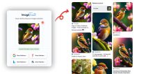 ImageTrace Pro - Reverse Image Search Tool Screenshot 3